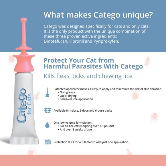 12 DOSES. .Catego Flea and Tick Control for Cats. Over 1.5 lbs, 8 Weeks or Older - Picture 2 of 6